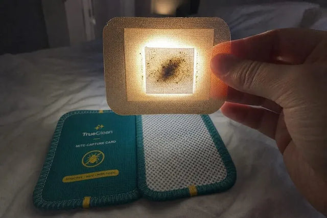 Foto de la reseña de Fernando R.