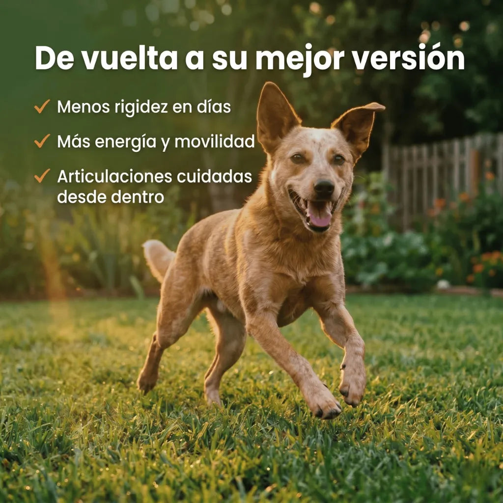 Golosinas masticables para el cuidado de las caderas y las articulaciones