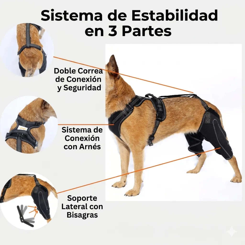 Rodillera Doble Con Arnés