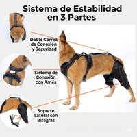 Rodillera Doble Con Arnés