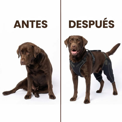 Rodillera Doble Con Arnés